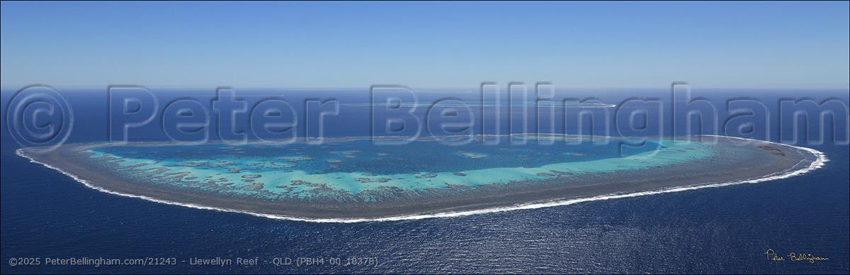 Peter Bellingham Photography Llewellyn Reef - QLD (PBH4 00 18378)